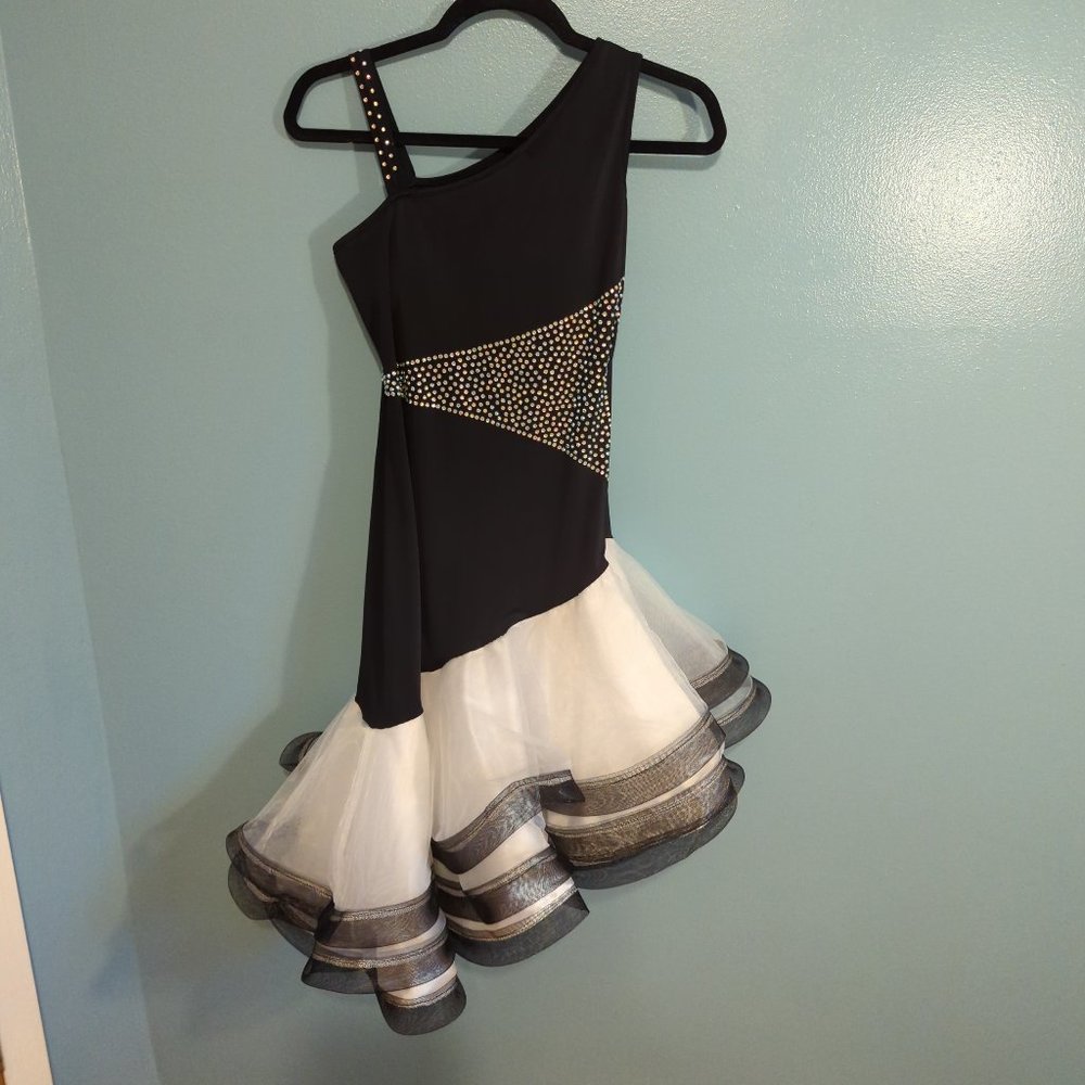 Beautiful Latin Rhythm Tango Dance Dress Costume